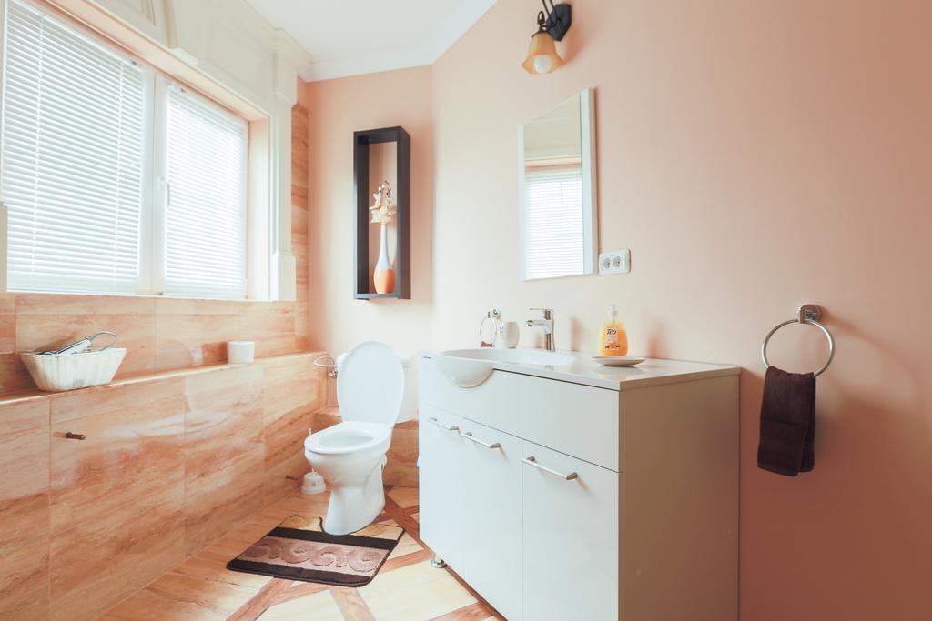 Casa Iulia Hotel Haţeg Værelse billede