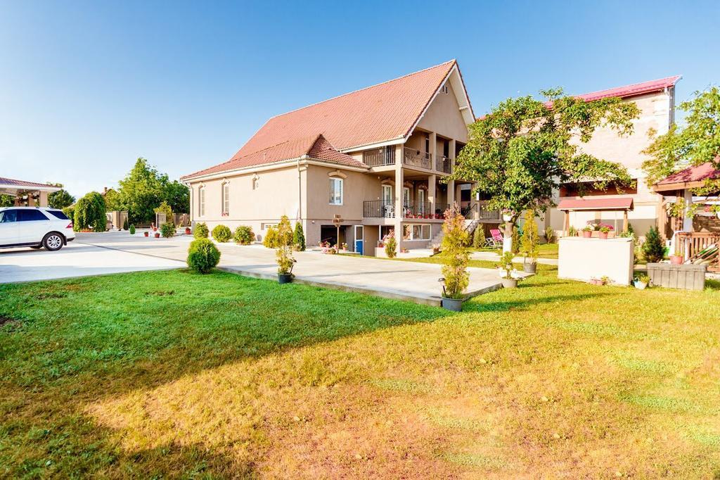 Casa Iulia Hotel Haţeg Eksteriør billede